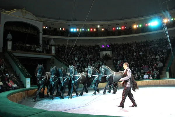 Show de circo — Fotografia de Stock