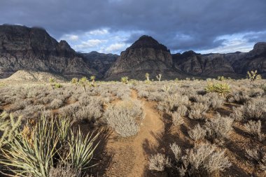 Mojave sabah fırtına