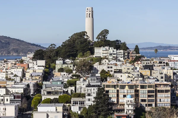 Парк Coit Tower в Сан-Франциско — стоковое фото