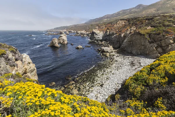 Big sur yaz — Stok fotoğraf