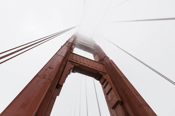 Nebbia cancello dorato — Foto Stock