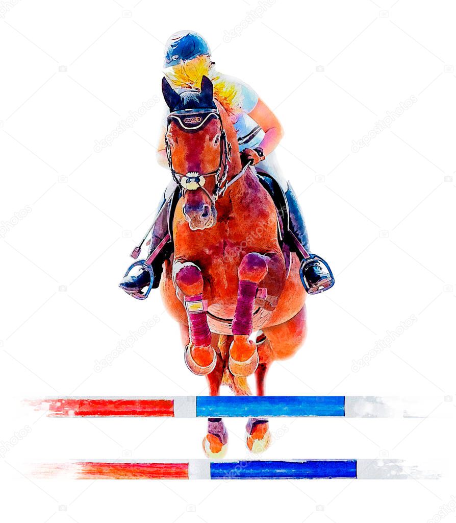 Jockey on horse. Champion. Horse riding. Equestrian sport. Jockey riding jumping horse. Poster. Sport. White background. Isolated watercolor Illustration