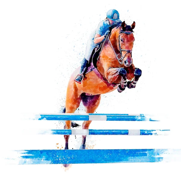 Žokej na koni. Skoky na koni. Jezdecké akce. Show Jumping Competition. Akvarel malba ilustrace izolované na bílém pozadí — Stock fotografie