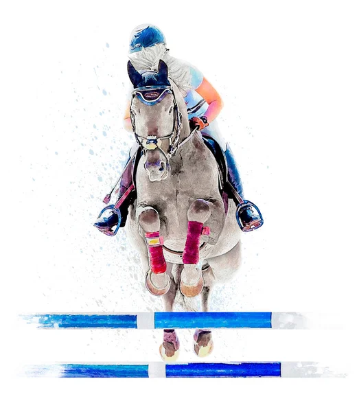 Ο αναβάτης στο άλογο. Λευκό Άλογο. Πρωταθλητής. Ιππασία. Ιππικό άθλημα. Ο αναβάτης καβαλάει άλογο. Αφίσα. Αθλητισμός. Λευκό φόντο. Μεμονωμένη απεικόνιση υδατογραφίας — Φωτογραφία Αρχείου