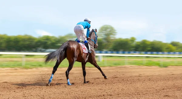 Galopando Cavalo Corrida Competição Corrida Jóquei Cavalo Corrida Desporto Campeão — Fotografia de Stock