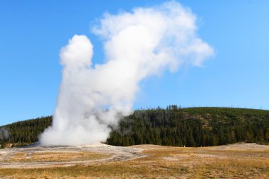 Old faithful Şofben