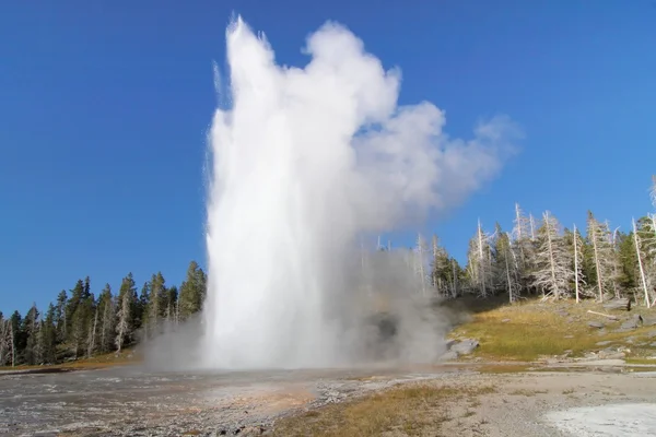 Grand geyser — Photo