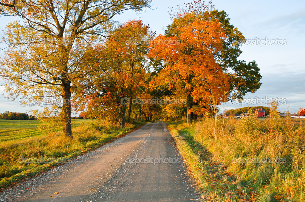 Dirt Road in Fall — Stock Photo © sipaphoto #43132691