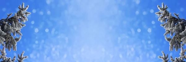 Fond Noël Branches Sapin Avec Flocons Neige Contre Ciel Bleu — Photo