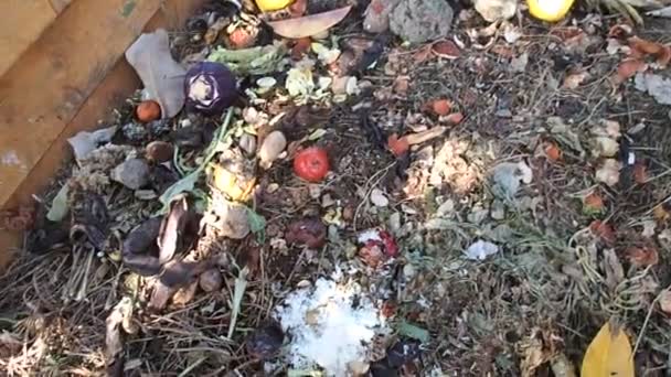 Βίντεο Από Ένα Σωρό Κομπόστ Στο Οποίο Ρίχνονται Σκουπίδια — Αρχείο Βίντεο