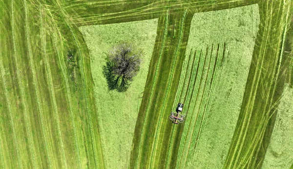 Zdjęcie Lotnicze Dronem Ciągnika Siana Łące Drzewem Bawarii — Zdjęcie stockowe