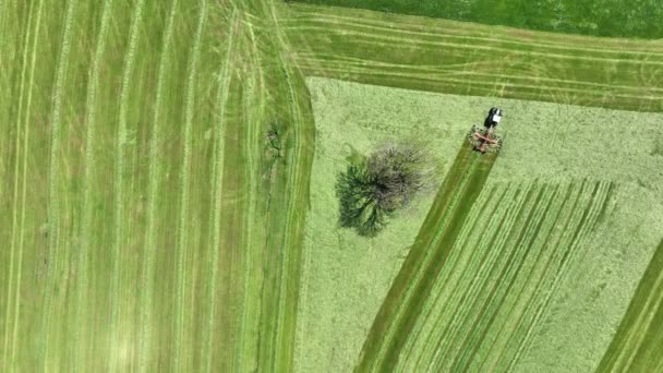 Bavyera Daki Çayırlarda Saman Toplayan Bir Traktörün Insansız Hava Aracı — Stok video