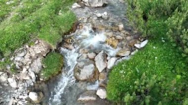 Avusturya dağlarındaki bir dere ve yürüyüş yolunun insansız hava aracı videosu.