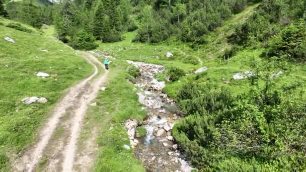 Drone Video Mountaineer Walking Stream Alps — стоковое видео