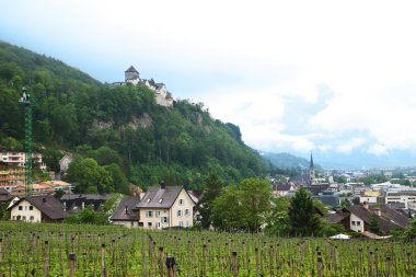 Panoramic view of the Principality of Liechtenstein clipart