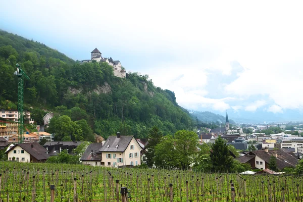 Blick auf das Fürstentum Liechtenstein — Stockfoto