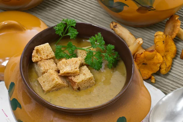 Puré de sopa de Chanterelle servido con croutons — Foto de Stock
