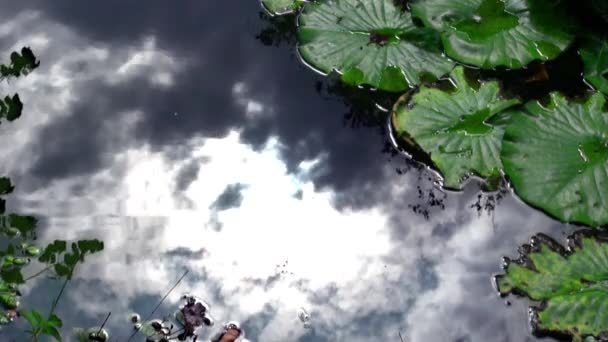 Sky reflection in water — Stock Video