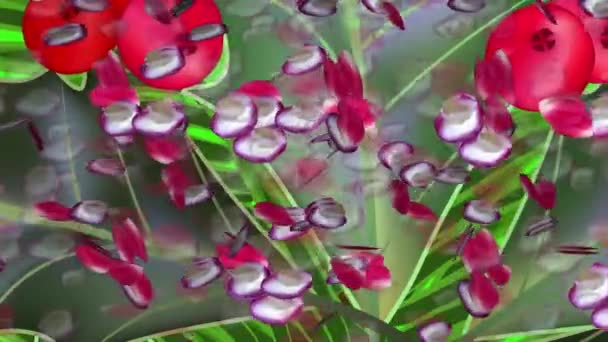 Petali di rosa sullo sfondo astratto — Video Stock