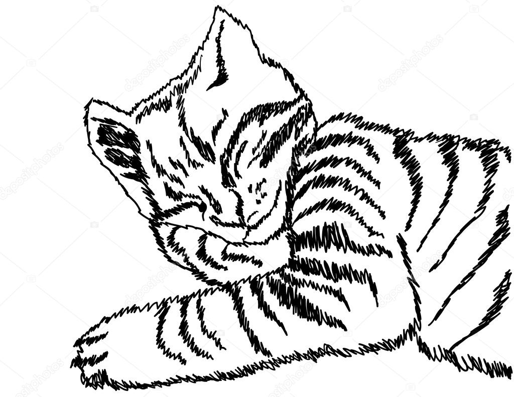 動物画像のすべて 最新のhd眠り 猫 イラスト