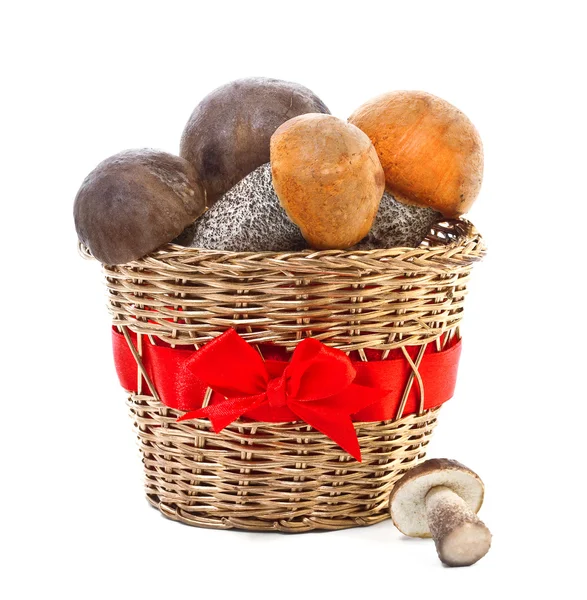 Champignons frais dans un panier isolé sur fond blanc — Photo