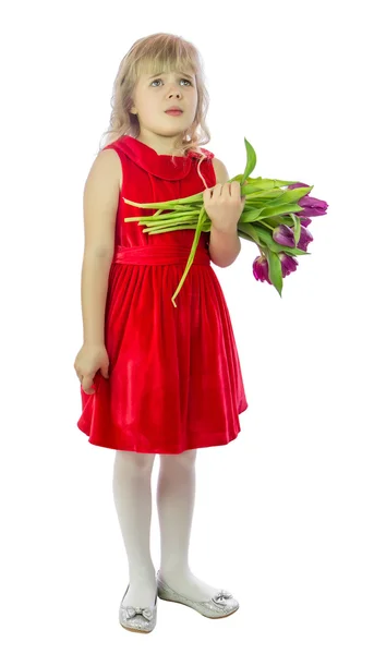 Meisje met tulip. isoleren op witte achtergrond — Stockfoto