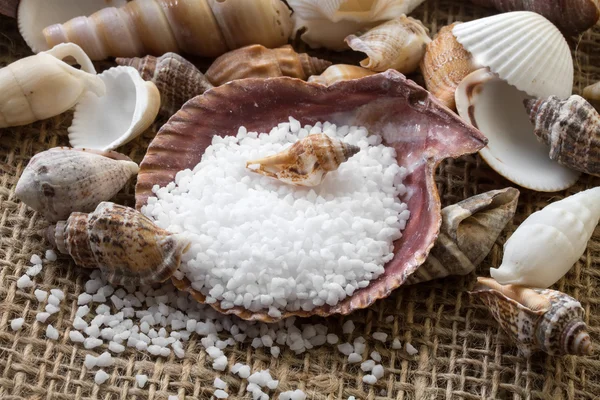 Wellness-Hintergrund mit Meersalz und Muscheln — Stockfoto