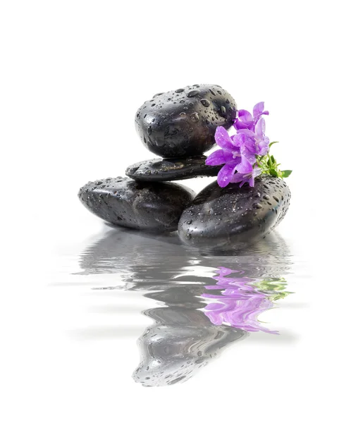 Zen kő, a lila virágok — Stock Fotó