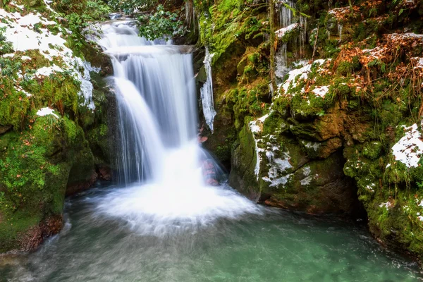 Forest waterfall in Baden-Baden. Europe, Germany. — Stock Photo, Image