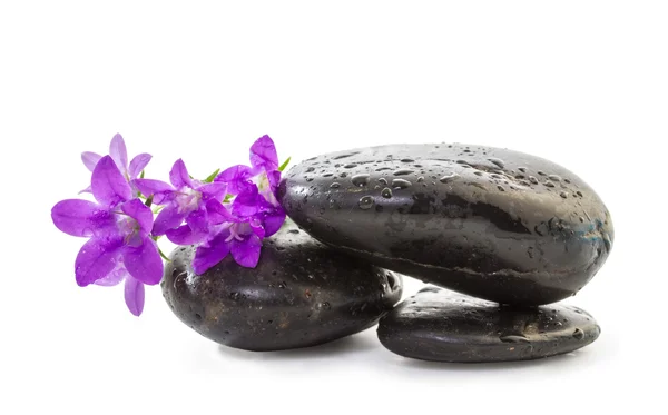 禅宗的石头与紫色的花 — 图库照片