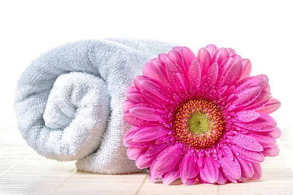 Fundo de spa com toalha e gerbera — Fotografia de Stock