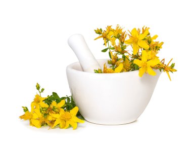 St. John's wort flowers in medical mortar on a white background clipart