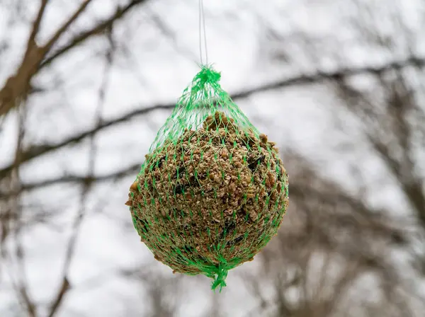 Food for birds outdoors — Stock Photo, Image