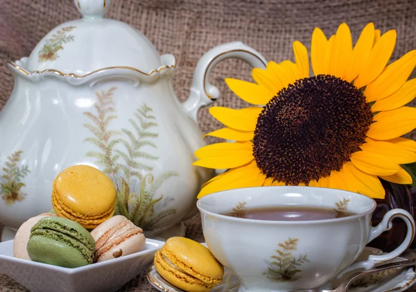 French macarons with yellow sunflowers — Stock Photo, Image