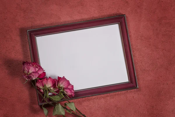 Vintage achtergrond met frame voor foto- en droge rozen — Stockfoto