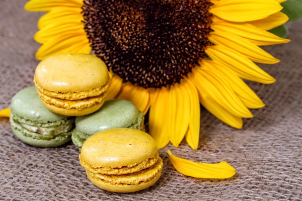 Macarons sarı ayçiçeği ile Fransız — Stok fotoğraf