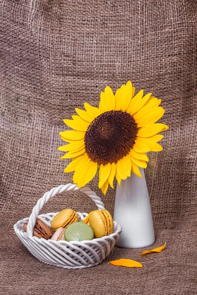 Francouzská macarons se žlutými slunečnicemi — Stock fotografie