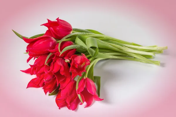 Strauß Tulpen auf rosa Hintergrund — Stockfoto