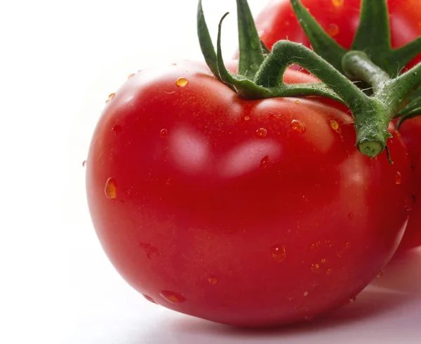 흰 배경의 토마토 — 스톡 사진