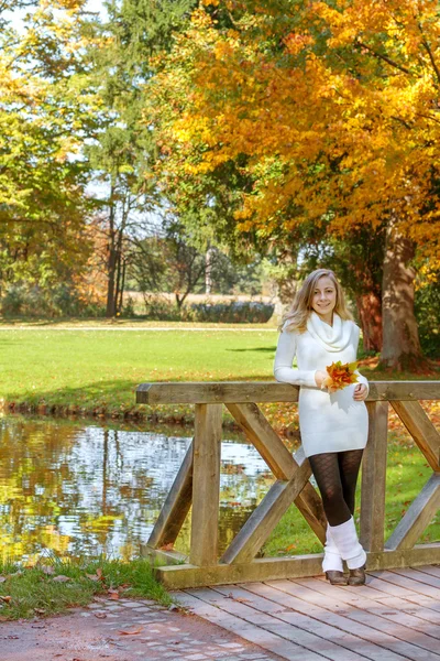 Portret van een meisje met herfst bladeren — Stockfoto