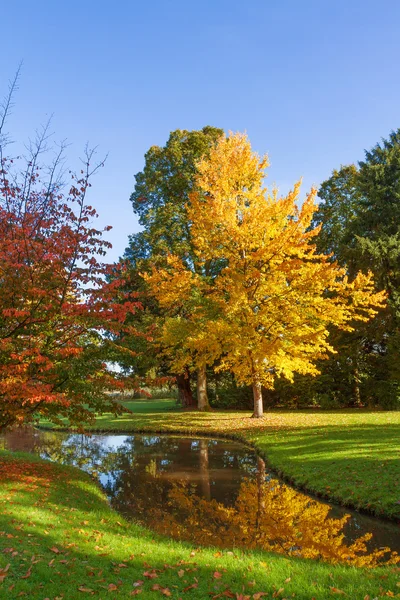 Podzimní park — Stock fotografie