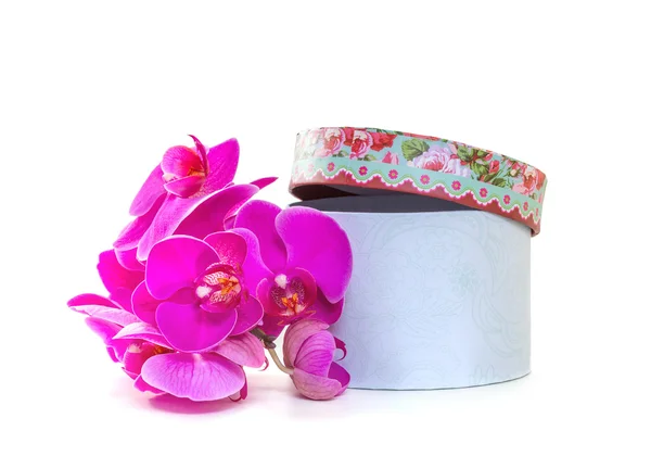 Caja de regalo con una orquídea rosa sobre un fondo blanco —  Fotos de Stock