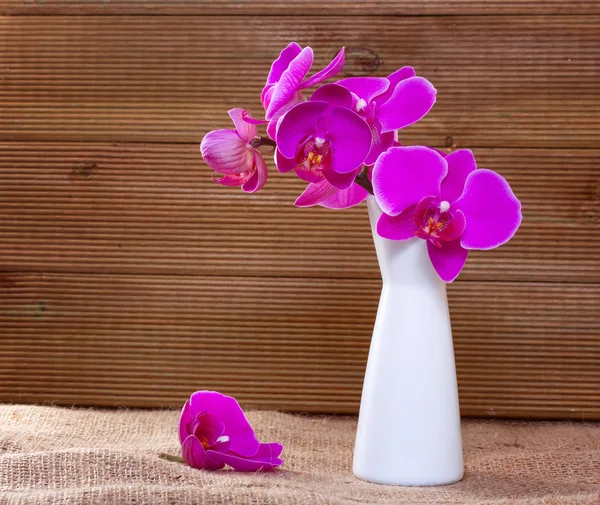 Rustik bir arka plan üzerinde pembe orkide — Stok fotoğraf