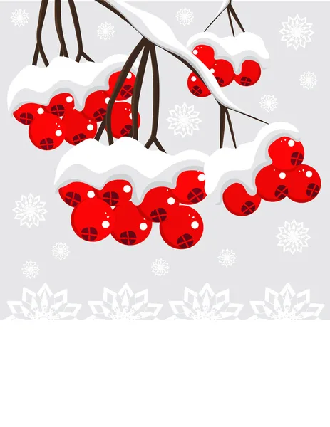 Tło zimowe z czerwonymi jagodami i śniegiem — Wektor stockowy