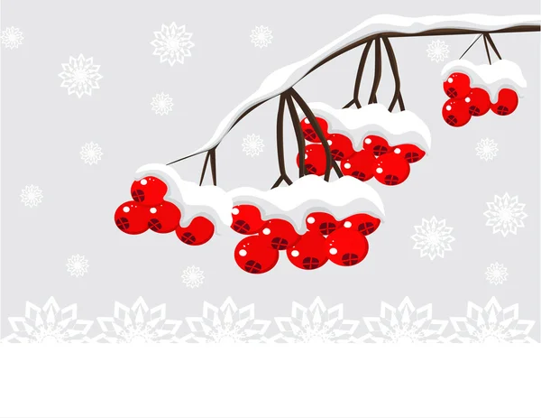 Sfondo invernale con bacche rosse e neve — Vettoriale Stock