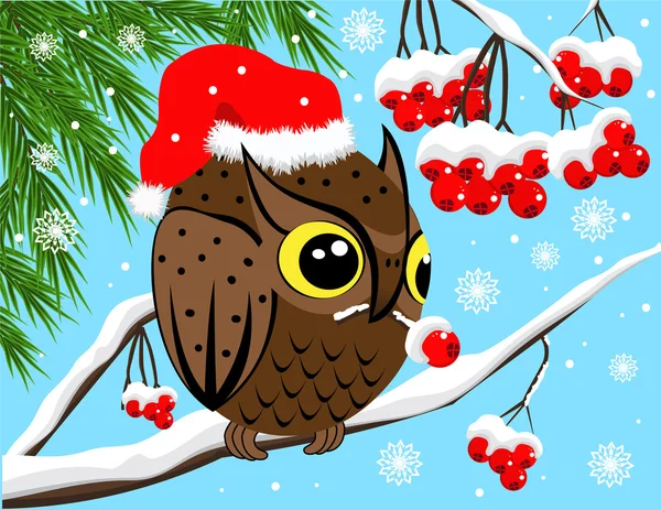 Winter image with red berries and owl — Stock Vector