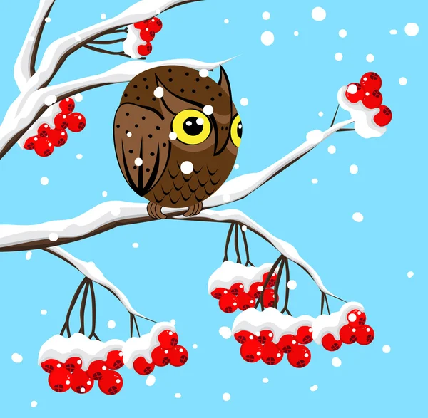 Winter image with red berries and owl — Stock Vector