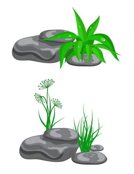 Stones with green grass — Stock Vector