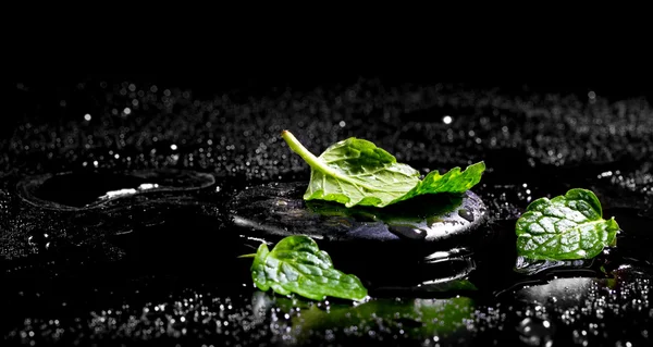 Zen stones with mint leaves on a black background — Stock Photo, Image