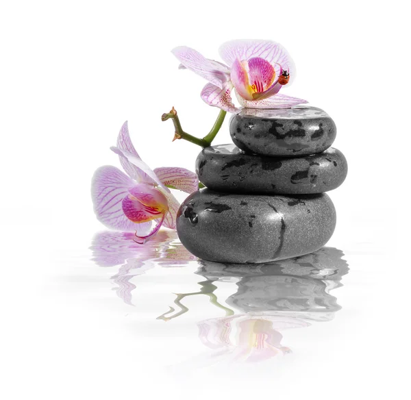 Zen-Steine und Orchideen mit Reflexion im Wasser. — Stockfoto